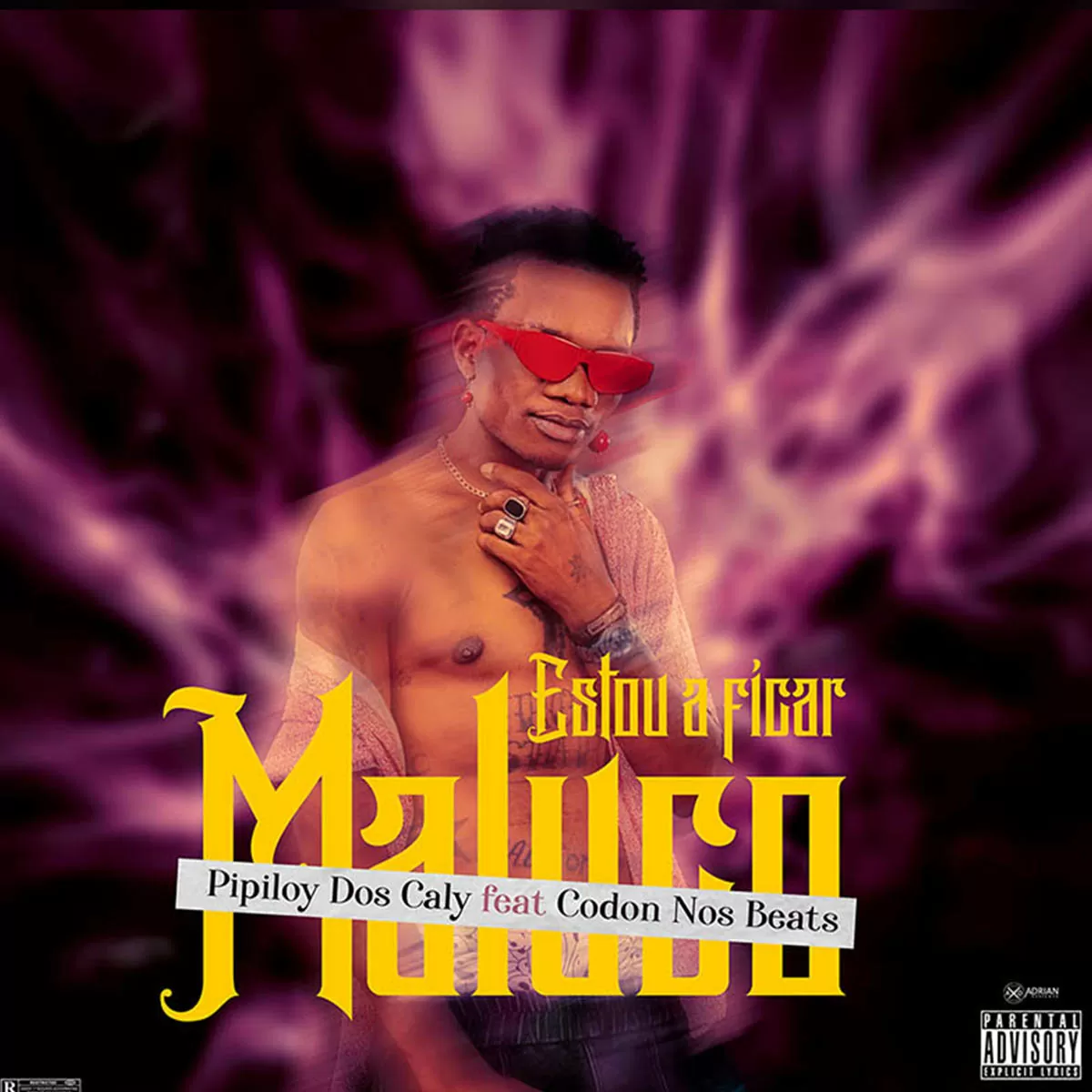 Pipiloy Dos Caly – Estou A Ficar Maluco (feat. Codon Nos Beats)