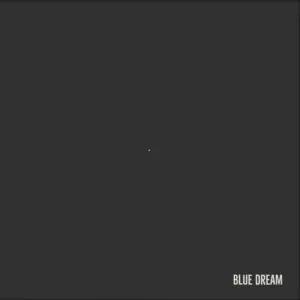 niiko blue dream Niiko - Fixe