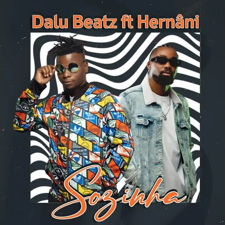 Dalu Beatz & Hernâni – Sozinha