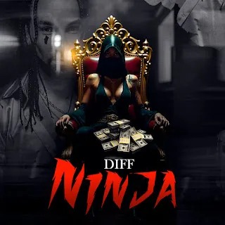 Diff – Ninja