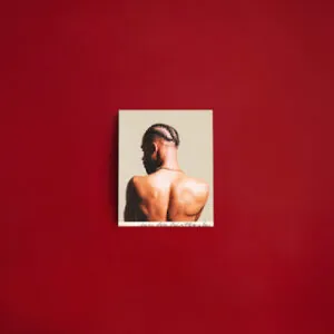 IMG 6691 T-Rex - Um Dia Vais Perceber (Álbum)